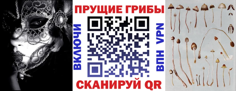 Галлюциногенные грибы ЛСД  купить наркоту  Усть-Кут 